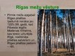 Презентация 'Rīgas mežu vēsture', 3.