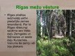 Презентация 'Rīgas mežu vēsture', 4.