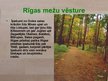 Презентация 'Rīgas mežu vēsture', 5.