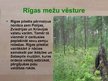 Презентация 'Rīgas mežu vēsture', 6.