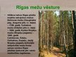 Презентация 'Rīgas mežu vēsture', 8.