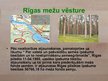 Презентация 'Rīgas mežu vēsture', 11.