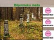 Презентация 'Rīgas mežu vēsture', 12.