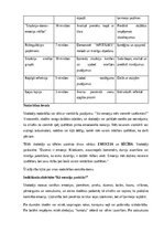 Образец документа 'SEM nodarbības plāns', 4.