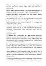 Образец документа 'SEM nodarbības plāns', 16.