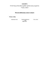 Отчёт по практике 'Pirmskvalifikācijas prakse Rēzeknes tiesā', 1.