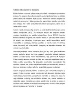 Эссе 'Autisms: personības, emociju un radošuma spektrs', 1.