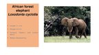 Презентация 'Elephants. Human Impacts and Threats', 7.