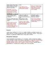 Конспект 'Iekļaujošās rotaļnodarbības modelēšana', 2.