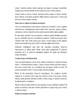 Конспект 'Senie latvieši un Latvijas teritorijas senās tautas: vēsture, sabiedrība, kultūr', 14.