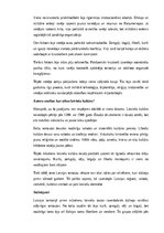 Конспект 'Senie latvieši un Latvijas teritorijas senās tautas: vēsture, sabiedrība, kultūr', 17.