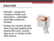 Презентация 'Adenoīdu hipertrofija', 2.