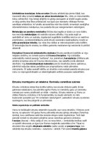 Конспект 'Etrusku vēsture, kultūra, mitoloģija, sabiedrība un kultūras mantojums', 15.