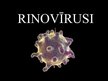 Презентация 'Rinovīrusi', 1.