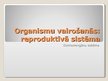 Презентация 'Organismu vairošanās. Reproduktīvā sistēma', 1.