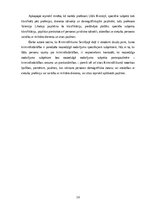 Реферат 'Noziedzīga nodarījuma subjekts', 16.