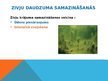 Презентация 'Baltijas jūras dabas resursi', 6.