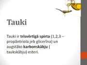 Презентация 'Tauki', 1.