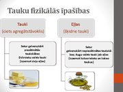 Презентация 'Tauki', 10.
