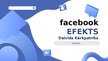 Презентация 'Facebook efekts. Grāmatas prezentācija', 1.