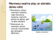 Презентация 'Hormonu darbības principi. Dziedzeru veidi', 4.