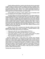 Реферат 'Dinamiskā zondēšana (DPL)', 4.