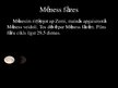 Презентация 'Zemes dabiskais pavadonis - Mēness', 6.