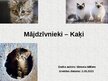 Презентация 'Mājdzīvnieki - kaķi', 1.