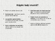 Презентация 'Mājdzīvnieki - kaķi', 6.