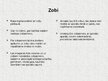 Презентация 'Mājdzīvnieki - kaķi', 20.
