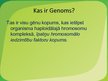 Презентация 'Genoma mutācija', 2.