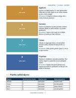 Образец документа 'Saules sistēma un planētas 3.–4. klasei', 5.