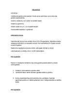 Конспект 'Klīniskā pataloģija - Celiakija, Kairinātu zarnu sindroms, Aknas un to pataloģij', 1.