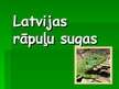 Презентация 'Rāpuļu sugas Latvijā', 1.