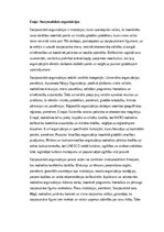 Эссе 'Starptautiskās organizācijas: nozīme, struktūra un globālā sadarbība', 1.