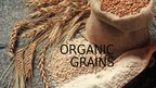 Презентация 'Organic Grains', 1.