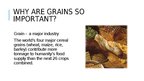 Презентация 'Organic Grains', 3.