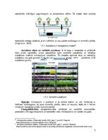 Реферат 'Mikroaļğu ekstraktu izmantošanas efektivitāte un ekonomiskais pamatojums mikroza', 9.