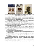 Реферат 'Mikroaļğu ekstraktu izmantošanas efektivitāte un ekonomiskais pamatojums mikroza', 17.