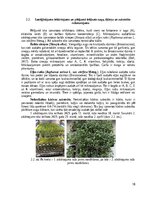 Реферат 'Mikroaļğu ekstraktu izmantošanas efektivitāte un ekonomiskais pamatojums mikroza', 18.