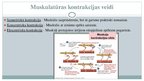 Презентация 'Muskuļu kontrakcijas, pamatmehānisms, enerģijas avoti un kā tie tiek atjaunoti', 3.