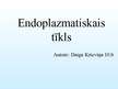 Презентация 'Endoplazmatiskais tīkls', 1.