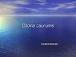 Презентация 'Ozona caurums', 1.