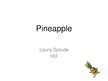 Презентация 'Pineapple', 1.