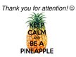 Презентация 'Pineapple', 24.