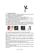 Реферат 'Darba aizsardzības instrukcija darbam ar trimmeri krūmgriezēju', 11.