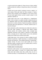 Эссе 'Lietišķās etiķetes normas profesionālajā vidē', 3.