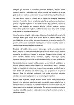 Эссе 'Lietišķās etiķetes normas profesionālajā vidē', 4.