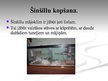 Презентация 'Šinšilla', 7.