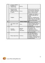 Отчёт по практике 'C kategorijas treneru prakses projekts', 13.